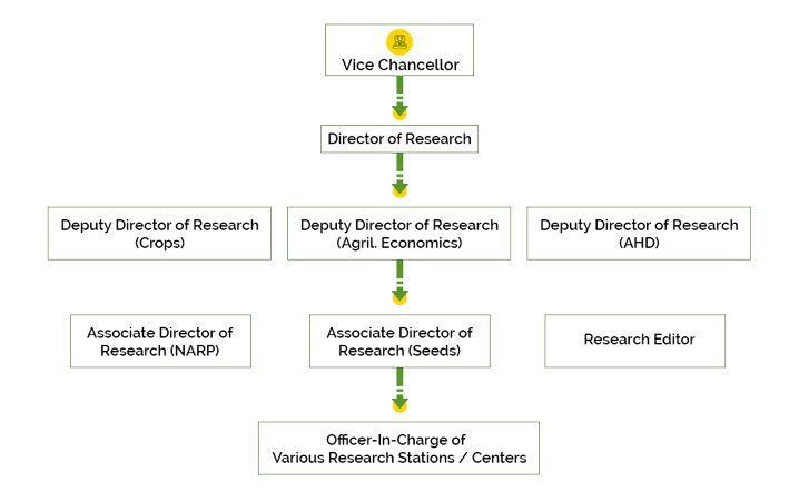 Organizational Structure